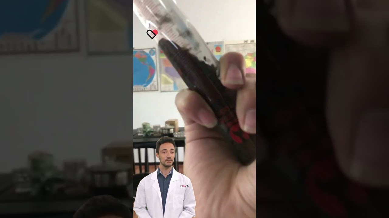 Optimizing Water Treatment Efficiency with PAC and PAM. 