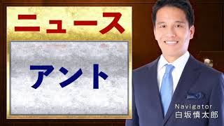 アントが持ち株会社を設立へ