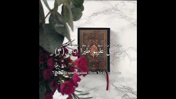 سورة الفيل بصوت الشيخ أحمد العجمي #قرآن #سورة_الفيل #احمد_العجمي