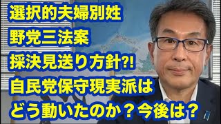 選択的夫婦別姓　野党三法案採決見送り方針?!　背景には何が？今後はどうなる？