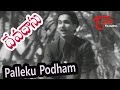 Devadasu Telugu Movie Songs | Palleko Podam Video Song | ANR | Savitri