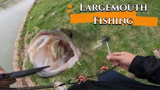 LARGEMOUTHBASS Fishing