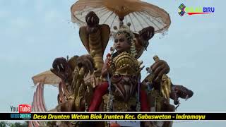 LAKI DADI RABI // SINGA DANGDUT P.S.M