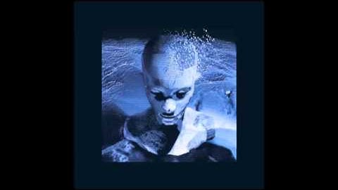 The Sprawl - From Wetware To Software