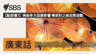 【點部署?】美股多方因素影響 專家料之後走勢波動 | SBS Cantonese - SBS廣東話節目