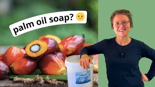 Using palm oil in soap making. Should we, or not? What do we need to know? (it's complicated)