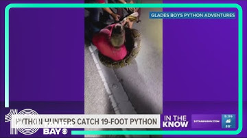 Longest-ever captured Burmese python in Florida sets new record