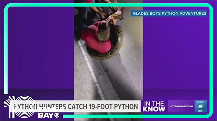 Longest-ever captured Burmese python in Florida sets new record