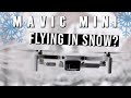 MAVIC MINI in the SNOW! Can it handle it?