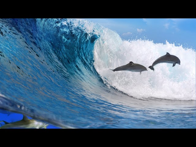Jean-Marc Staehle - Atlantis