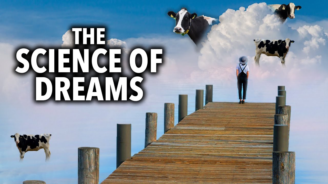 Why Do We Sleep and Dream? - Random Theory EP. 61