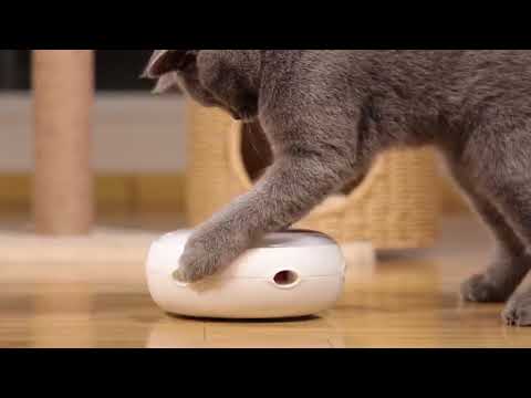 pounce interactive cat toy