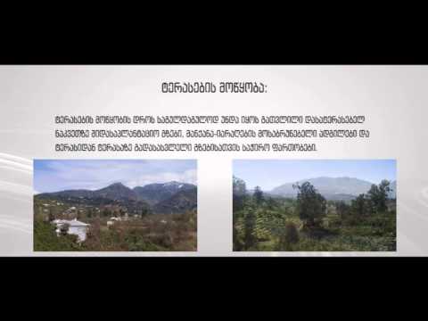 ნიადაგის კვლები და ირიგაცია #5