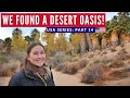 VANLIFE Final Day? | Epic Desert Oasis | Joshua Tree California Road Trip | Brits in America Part 14