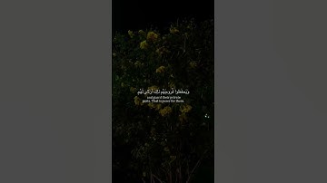 قل للمؤمنين يغضوا من أبصارهم | #محمد_ديبيروف #سورة_النور