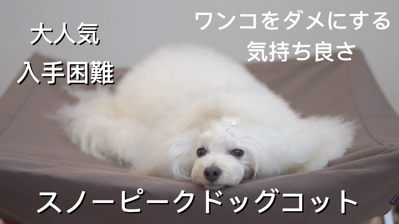 SNOW PEAKドッグコット - YouTube