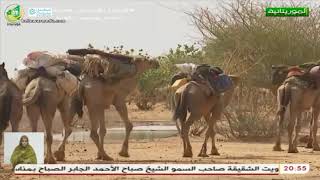بوادر موسم خريف واعد في الحوضين - تقرير عبد الودود سيدن  لقناة الموريتانية