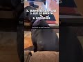 Top 5 funny dog moments #dogs #funny #foryou #funny