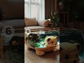 Wildest Living Room Ever? Hippopotamus Aquarium Coffee Table