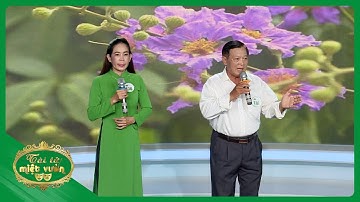 Vọng cổ "Hoa tím bằng lăng - câu 1, 2" (Thanh Hồng - Mỹ Xuyên) | Tài tử miệt vườn