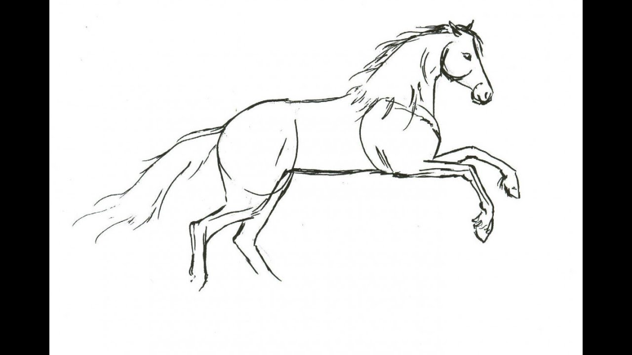 How to draw a horse (Step by step) (Easy) - YouTube