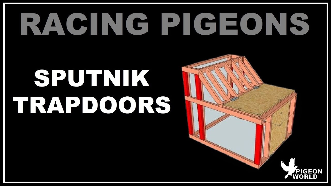 Sputnik Pigeon Trap Rancho - 60cm Wide