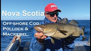 Atlantic Pollock, Cod & Mackerel fishing, Lockport Nova Scotia