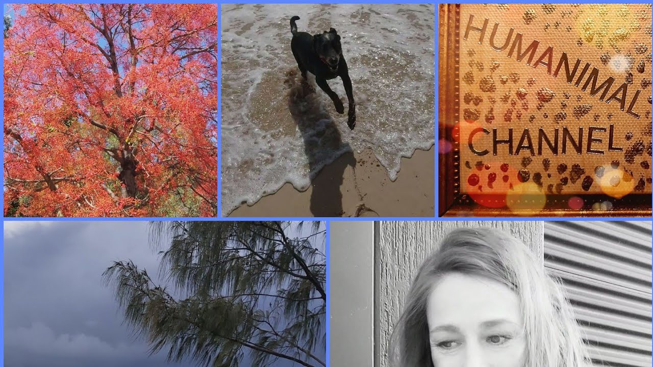 Missing Persons Investigators need instant legal access to security footage 