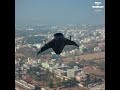 Drone Capacity India