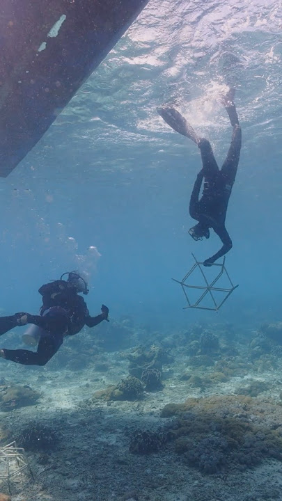 Yudi’s dream to bring back his local coral reef #rewilding