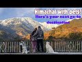 Palampur | Beautiful pet friendly homestay