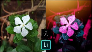 Nature photo editing in lightroom | How to edit photo in lightroom | photo editing lightroom screenshot 4