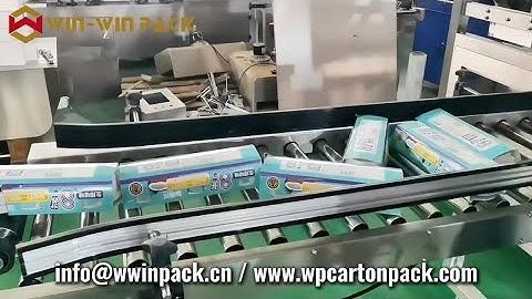 WIN-WIN PACK Wrap-Around Case Packer/Cartoning Machine for Yogurt/Packaging Solutions