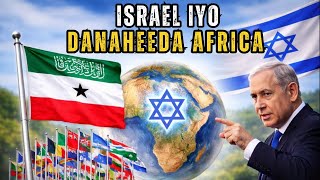 Hal Dal African Ah Oo Mooqifkiisa Beddela Wuxuu Beddeli Karaa..?