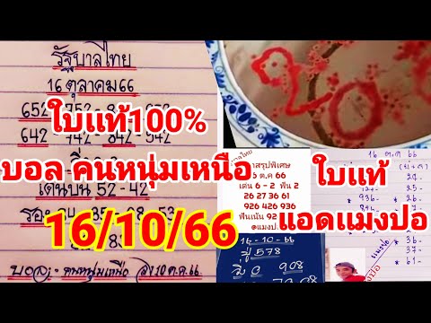 มิสเตอร์บอลใบเเท้อ่างน้ำมนต์วัดศรีทรงธรรมเเมงปอใบเเท้16/10/66ปุ่38ปู่578