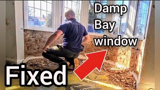 BLACK MOULD BAY WINDOW (FIXED)