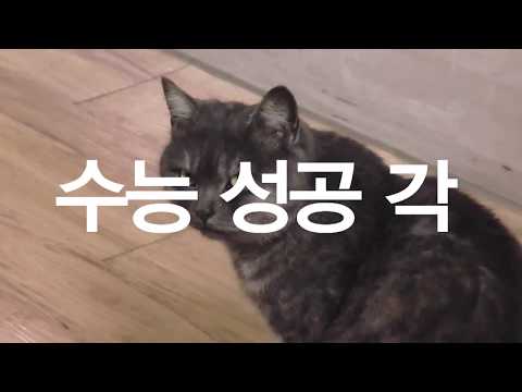 [이화미디어고] 2019 수능응원영상 SSG 패러디