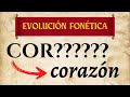 EVOLUCIÓN de «corazón» desde COR?????? ‹ Gramática histórica del español
