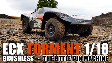 ECX Torment 1/18 Brushless - The little fun machine