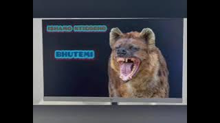 ISHAMO NTIGOBHO SONG BHUTEMI  