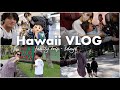 【Hawaii Vlog】家族4人でハワイに♡幸せ大満喫のプライベート旅行🌺🌴