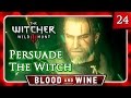 Witcher 3 🌟 BLOOD AND WINE 🌟 Persuade the Witch of Lynx Crag to Lift the Curse - Knight's Tales #24