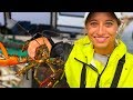 Catch & Cook: Maine Lobster & Rock Crab | Field Trips Maine | Field Trips with Robert Field