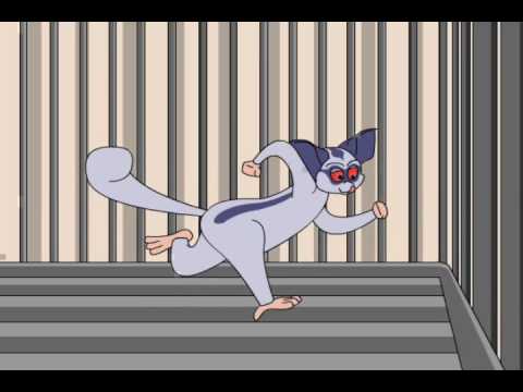 Ranker Video