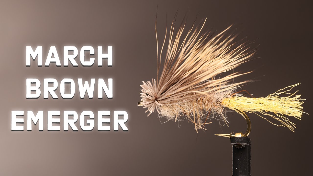 March Brown Emerger Fly | Best Mayfly Pattern? | Fly Tying Tutorial ...
