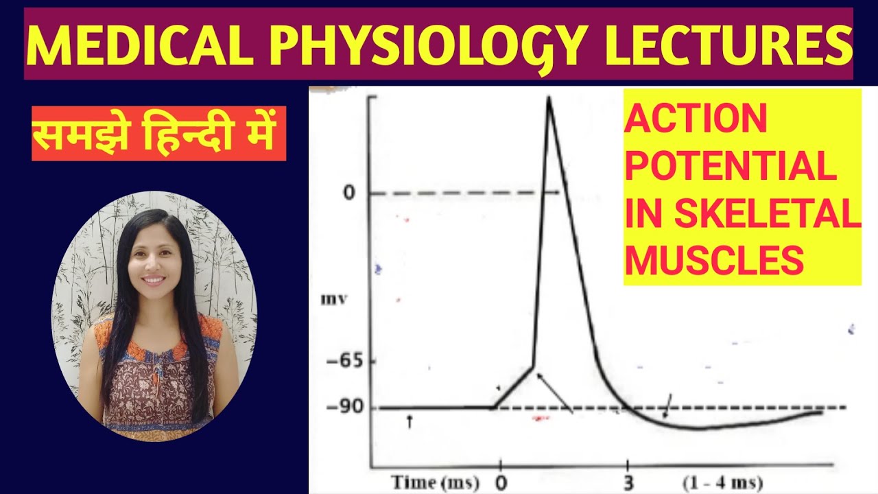 ACTION POTENTIAL IN SKELETAL MUSCLEELECTRICAL CHANGES DURING MUSCLE