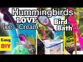 How To Make Hummingbird ENDLESS Water Fountain Ice Cream LOVED Bird Bath EASY Solar Powered PORTABLE