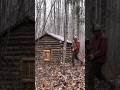 Wooden House 🏠 construction#wildernesssurvival #survivalskills #natureescape #woodworking #jungle