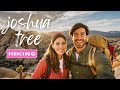 Epic adventures await  hiking through joshua tree national park in california
