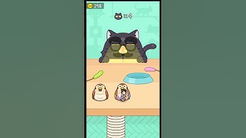 hide and seek :cat escape 11 endless mode game walkthrough best Android ios